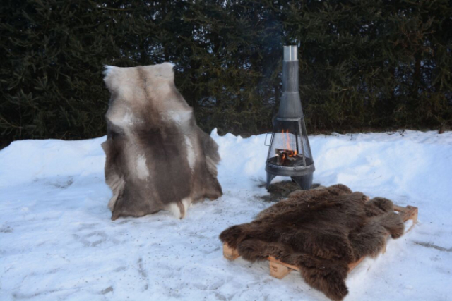 Öko Rentierfell Great Wild Lion Dunkel XXL – Rekord-Übergröße 150cm